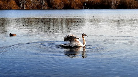 Tiddenfoot Waterside Park