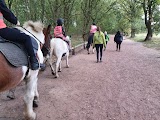 Sherwood Forest Trekking Centre