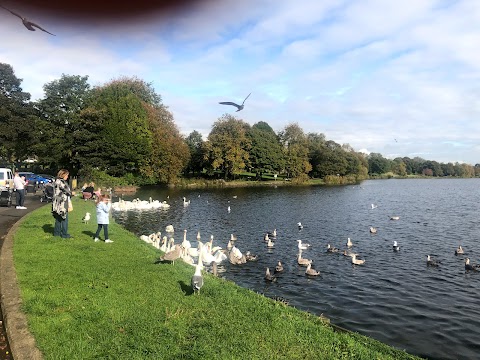 Hogganfield Park