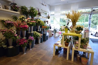 Sandras Florist