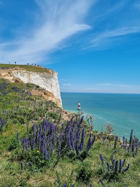 National Trust - Birling Gap and the Seven Sisters