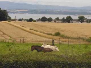 Bo'mains Farm B&B