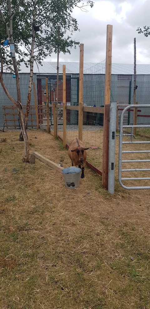 St James Community Farm