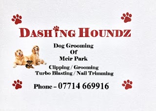 Dashing Houndz