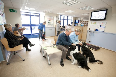 Goddard Veterinary Group, Mandeville Hospital