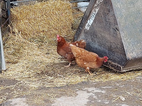 Lancaster Farm Shop