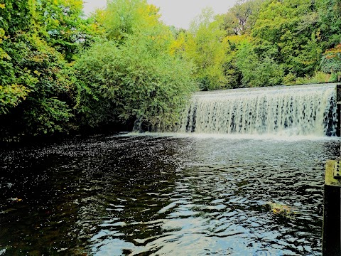 Water of Leith Weir