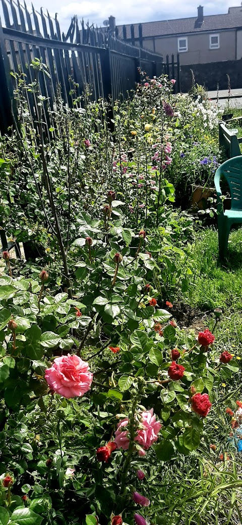 Garden Of Flowers Fettercairn