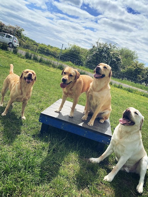 Westhoughton Dog Park