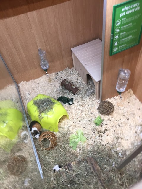 Pets at Home Inverurie