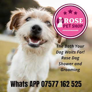 Rose Pet Shop UK