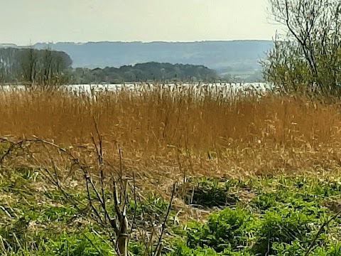 Chew Valley Lake Picnic Area