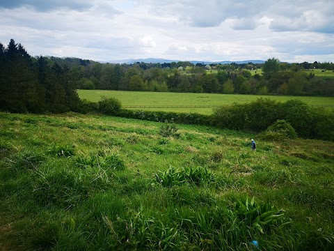 St. Catherine's Park