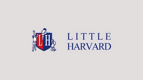 Little Harvard Crèche & Montessori, Childcare In Blanchardstown