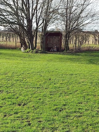 Laurel House Dog Walking Field