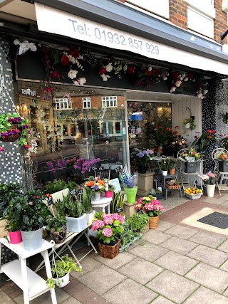 Fleurs Amanda Luxury Florist And Gift Shop