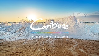 Caribbee