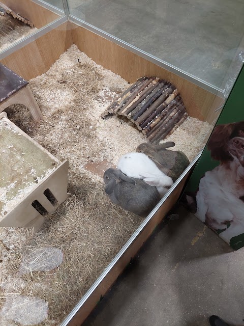 Pets at Home Woking