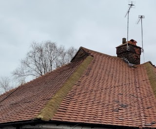 Clearview Roof Cleaning & Moss Removal