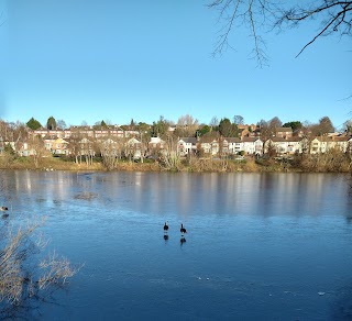 Brookvale Park