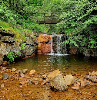 Clydach Vale Country Park