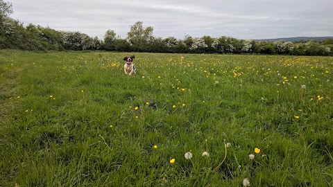 Highwood Boarding Kennels