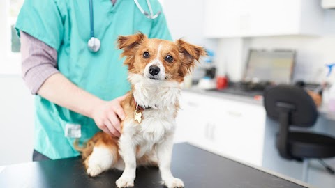 Highcroft Veterinary Hospital - Whitchurch