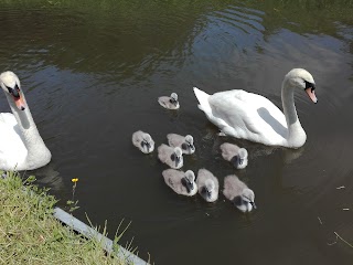 Riverside Caravan Park