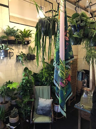 Rooted Botanical Emporium