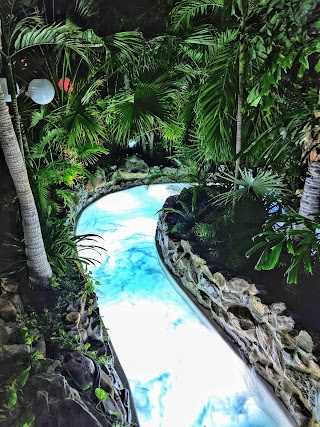 Wild Water Rapids at Subtropical Swimming Paradise