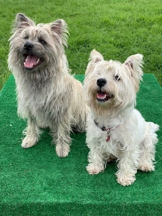 Formby Happy Paws