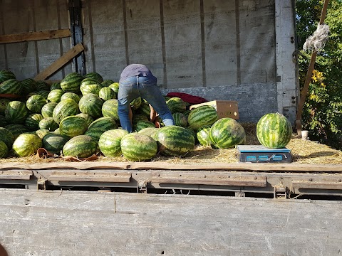 Морозівський базар