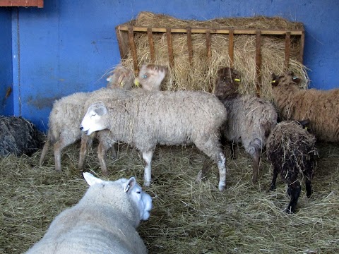 Hayrack Church Farm Butchers Shop