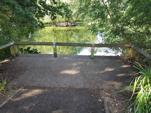 Caversham Park Pond