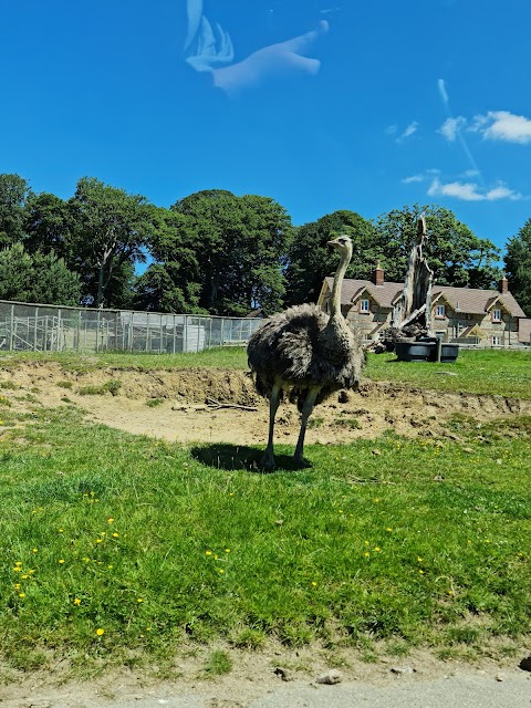 Longleat