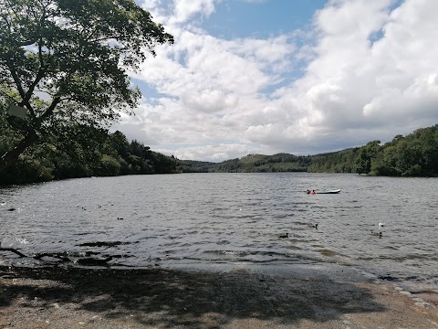 Castlewellan Mountain Bike Trails