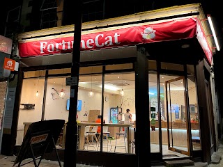 Fortune Cat - East Barnet, London