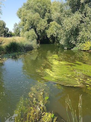 Wood Pool