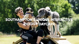 Pack Buddies Doggy Daycare Southampton