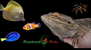 Contact Pets & Aquatics