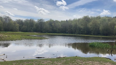 Little Bracebridge Pool