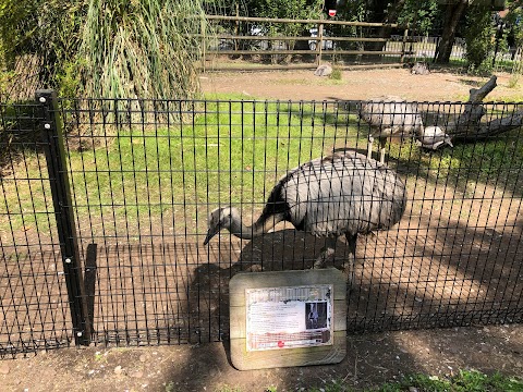 Birmingham Wildlife Conservation Park