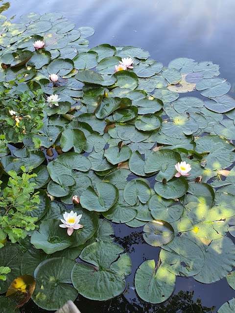 Plantsbrook Local Nature Reserve