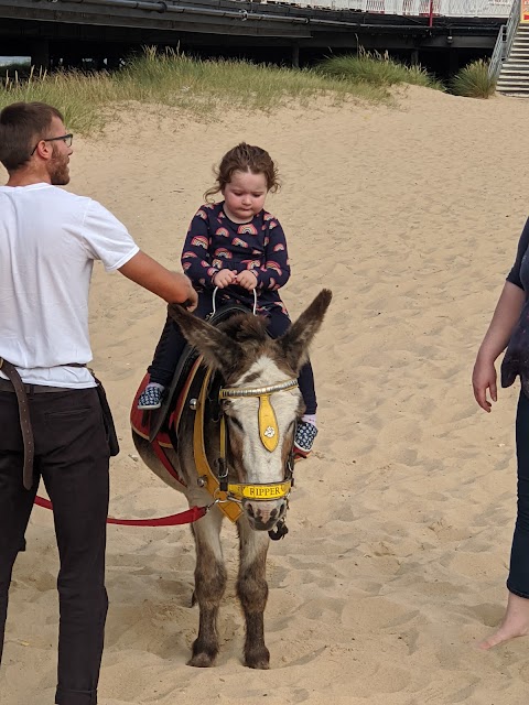 Parkers Donkey World