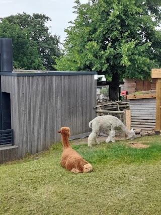 Horniman farm animals