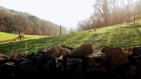 National Trust - Cadbury Camp