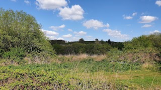 Pioneer Meadows Nature Reserve