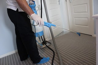 ALL READING CARPET CLEANING