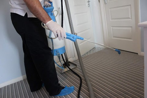 ALL READING CARPET CLEANING