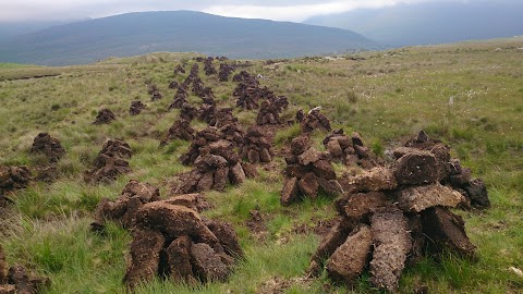 Excursiones Dublin